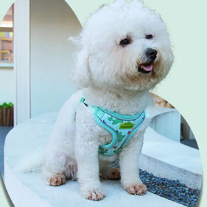 Harnais et laisse pour petits chiens, gilet harnais pour <span class=keywords><strong>chien</strong></span> dessin animé, sangle de poitrine pour <span class=keywords><strong>bouledogue</strong></span> français, accessoires pour animaux de compagnie - Product Image 6