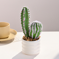 Plante artificielle en pot, cactus miniature de 25 cm, en soie, pour décoration intérieure, accessoire de photographie, fleur de mariage