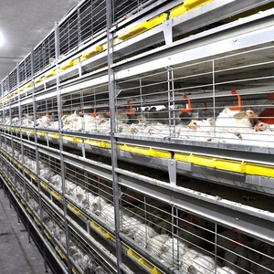 Nuovo sistema di uscita della gabbia della griglia anticollisione | Alta produttività del materiale zincato a caldo della macchina di scarico del pollame sicuro - Product Image 5