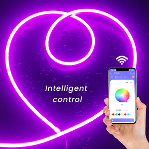 <span class=keywords><strong>2025</strong></span> mới nhất DC24V 6*12 mét <span class=keywords><strong>Neon</strong></span> Flex <span class=keywords><strong>LED</strong></span> Silicone Đèn <span class=keywords><strong>Neon</strong></span> IP67 không thấm nước rgbic mới nhất phong cách <span class=keywords><strong>LED</strong></span> Đèn <span class=keywords><strong>Neon</strong></span> - Product Image 1