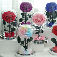 Fleurs roses éternelles Roses naturelles fraîches conservées Dôme en verre LED pour la fête des mères Saint Valentin Style romantique pour les festivals