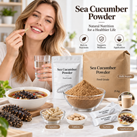 Poudre de Concombre de Mer en Vrac LongBio, Qualité Alimentaire, Protéine Marine Naturelle, Poudre de Concombre de Mer Séché Pur pour Compléments Alimentaires, OEM