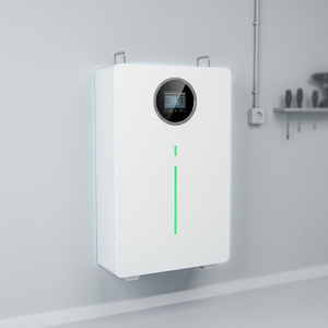 Batería de Almacenamiento de Energía Doméstica de 51.2V 100Ah LiFePO4, Montada en Pared, 5.12kWh, para Respaldo Solar Fuera de la Red con CAN RS485 - Product Image 4