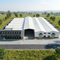 Centro Logístico Comercial TOPPRE de 10000 m², Fábrica Industrial, Estructura de Acero, Taller, Edificio de Oficinas, Almacén de Ingeniería