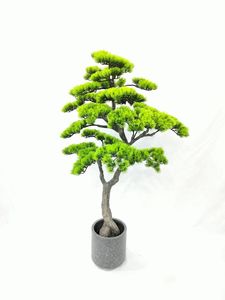 <span class=keywords><strong>Bonsai</strong></span> di Pino Artificiale Verde per Interni, Ecologico, 120x75 cm, in Plastica e Filo di Ferro, Basso MOQ, <span class=keywords><strong>Vendita</strong></span> all'Ingrosso - Product Image 5