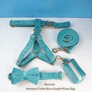Benutzer definierte Namensschild Türkis Stein Samt Hunde halsband und Leine Set Pet Harness Pop Taschen mit Fliege - Product Image 2