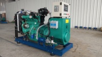 Direkter Werksverkauf 50kW Erdgas-Biogas-Syngas-Generatorset Bürstenloser Erreger Hocheffizientes Stromerzeugungsgerät