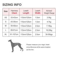 Ensemble de Luxe et de Sécurité pour Animaux : Collier Réfléchissant Réglable, Simple et Solide, Anti-Traction, et Harnais Respirant pour Chien