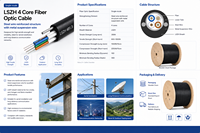 Cable de Fibra Óptica ADSS para Exteriores ZAWEDA Factory AD001, G652D Monomodo, 2-48 Hilos, Autoportante, Cubierta LSZH/PE, OEM ODM