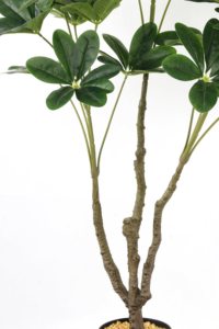 Árbol <span class=keywords><strong>de</strong></span> <span class=keywords><strong>la</strong></span> Fortuna Artificial <span class=keywords><strong>de</strong></span> Plástico <span class=keywords><strong>de</strong></span> 117 cm con 21 Hojas, Bonsái Artificial Ecológico para Uso en Interiores/Exteriores, Vida Útil <span class=keywords><strong>de</strong></span> 10 Años - Product Image 6