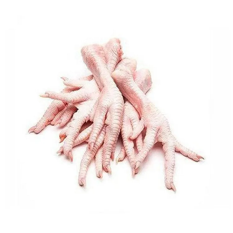 High Quality chicken leg Wholesale Prices Fresh Frozen Halal Frozen Chicken Feet/Paws for Sale