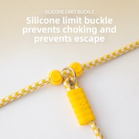 Laisse pour chien en nylon tressé en gros, laisse d'entraînement tout-en-un avec collier coulissant, corde à boucle réglable pour petits et moyens chiens, personnalisable OEM