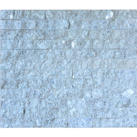 Carrelage mural extérieur en marbre blanc de style contemporain philippin, pierre naturelle polie et finition mate, anti-acide, pour décoration d'hôtel, Guangzhou