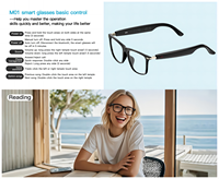Lunettes Intelligentes SHR A10 avec Traduction IA, Verres Photochromiques, Prise en Charge de Plus de 160 Langues, Traduction en Temps Réel, Appels Mains Libres, Musique