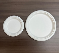Assiette jetable biodégradable blanche de 9 pouces pour fêtes, camping, burgers, kits de couverts jetables