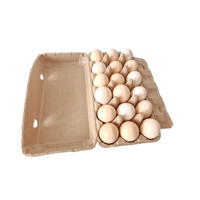 Boîte d'emballage pour œufs de poule personnalisable en carton de pulpe biodégradable, recyclable et écologique, pour 10, 12 ou 15 œufs