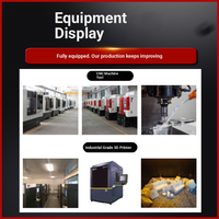 Service d'impression 3D, prototype en acier inoxydable, traitement de revêtement, moulage en silicone SLS, brochage