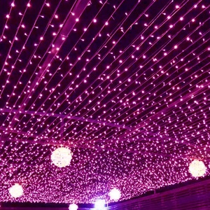 Guirlande lumineuse féerique 10m - 100m, étanche pour extérieur, pour fête, mariage, vacances, vente flash, lumières LED féériques d'extérieur, cuivre chaud - Product Image 2