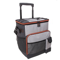 Bâche pliable personnalisée sac isotherme isotherme décontracté chariot de pique-nique roulant avec PVC et doublure en feuille d'aluminium nourriture shopping voyage