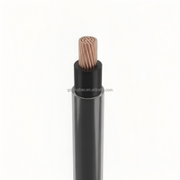 Cable de Cobre 12AWG 600V PVC Nylon THHN THWN-2 para Cableado de Edificios y Viviendas, en Oferta