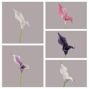 Flor Artificial Decorativa Inspirada en Eva Calla Lily de Rainbow Sketch Artist para el Hogar, Venta al por Mayor Transfronteriza para el Día de San Valentín - Product Image 3