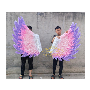 Alas de Ángel de Plumas Doradas y Rosas para Boda, Fondo Rosa, Decoración para Boda, Accesorios para Fotos de Alas de Ángel, Estrella de Cine - Product Image 5