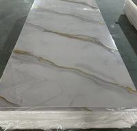 Panel de Pared de PVC Moldeado Compacto Moderno, Resistente al Agua y a la Presión, con Aspecto de Mármol, para Revestimiento de Mostradores de Recepción en Hoteles y Comercios