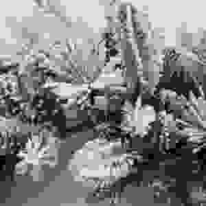 Arbre de Noël artificiel d'intérieur Longstar, écologique, fait main, traditionnel, à charnières, en PVC, aspect réaliste, <span class=keywords><strong>sapin</strong></span> vert avec support métallique - Product Image 3