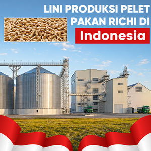 RICHI Animal Feed Pellet Equipment - High Output Indonesia Complete Poultry Feed Pellet Production Line With Workshop Chicken