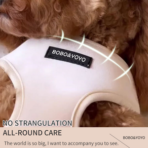 Navidad Alta Calidad recién llegado lujo grande ajustable estampado personalizado patrón terciopelo mascota perro arnés Correa plomo Collar conjunto - Product Image 3