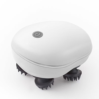 Masseur Électrique Professionnel Pinrenen PR-Head01 à Batterie Lithium pour Massage Profond des Cheveux – Vente Directe Usine, Marque OEM