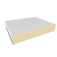 Prefabricated PU Insulation Panel, Insulated Wall and Roof