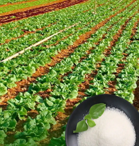 Polímero Superabsorbente de Poliacrilato de Potasio SAP, Cristales de Almacenamiento de <span class=keywords><strong>Agua</strong></span>, Polímero Sólido para <span class=keywords><strong>Agua</strong></span> de Lluvia para Agricultura, Precio de Fábrica - Product Image 4