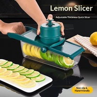 Éplucheur de citron multifonctionnel réglable automatique, râpe à fruits et légumes commerciale, série 400, lames en acier inoxydable