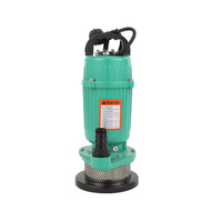 Meilleur prix pompe à eau submersible pour puits d'irrigation petit poids 0.75kw 220v pompe submersible QDX