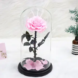 Forever Roses Wholesale 1 Pcs Preserved Roses in Glass Dome for Valentine's Day Mother's Day Thanksgiving from Kunming City
