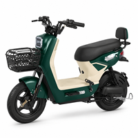 Vélo électrique brésilien EBIKE 48V 20Ah 500W à moteur sans balais, mini vélo électrique avec freins à disque hydrauliques, vente chaude