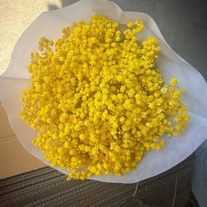 <span class=keywords><strong>Flores</strong></span> de Gypsophila <span class=keywords><strong>Preservadas</strong></span> <span class=keywords><strong>al</strong></span> <span class=keywords><strong>por</strong></span> <span class=keywords><strong>Mayor</strong></span>, Secas, Colores Personalizados, para Graduación, Bodas, San Valentín, Navidad - Product Image 6