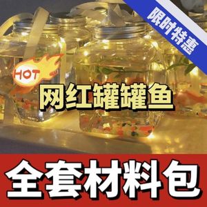 ชุดปลากระป๋องเรืองแสงอะคริลิค PMMA ครบชุดสำหรับแผงขายของตลาดกลางคืน - Product Image 3