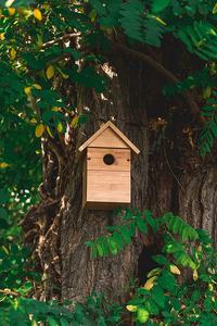 Massief Quadrate Bamboe Vogelhuisje & Nestkast 32Mm Gat Winddicht Huisdier Huis Voor Vogels - Product Image 5