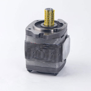 Bomba de Engranajes Hidráulica IPV IPVP IPC IPVS 3 4 5 6 7, IPVS5-25-101, IPVP 5-32 151, IPVS6-100-101, IPVAP 5 50 101 - Product Image 2