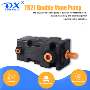 Nuova Pompa a Doppia Paletta DX ad Alte Prestazioni, Componenti per Macchine di Iniezione Serie YB-E/YB1/YB2/YB3/YB4, Unità Idraulica ad Alta Pressione, 1 <span class=keywords><strong>Anno</strong></span> di Garanzia - Product Image 4