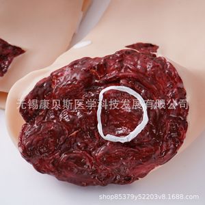 Module de traumatologie KBS/SQ43 : Module d'évaluation des traumatismes et de formation infirmière ; Équipement simulateur de présentation des blessures : Trousse de blessures - Product Image 4