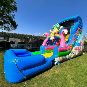 Structure gonflable commerciale d'extérieur à thème flamant rose et ananas, avec toboggan aquatique et piscine pour enfants et adultes - Product Image 1