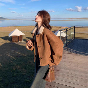 <span class=keywords><strong>Manteau</strong></span> en fourrure d'<span class=keywords><strong>imitation</strong></span> pour femmes <span class=keywords><strong>manteau</strong></span> réversible une pièce pour femmes régulier à la mode épaissi court simple boutonnage hiver - Product Image 4