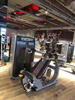 Machine de fitness commerciale créative à charge libre pour l'entraînement de force en salle de sport, équipement de fitness, machine à extensions de jambes et à triceps