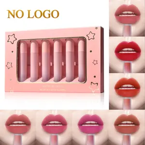 Meat Pink Pabrik Baru Harga Asli Kecil dan Lucu MOQ Kecil Lipstik Lapisan Bibir Tabung dengan Sikat Lembut