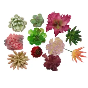 Fabriek Groothandel Ins Home Decor Ornamenten Lui Exclusieve Simulatie Van Kunstmatige Plastic Bloemen Succulenten Set