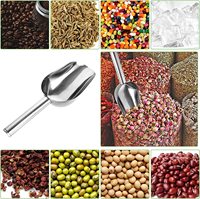Pelle utilitaire en acier inoxydable pour farine de glace, pelle pour grains de café, thé en vrac, pelle pour glace, bonbons, pop-corn, sucre, pelle pour la maison