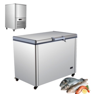 Congélateur rapide tunnel IQF extérieur avec compresseurs et évaporateurs, capacités de 5, 2, 1 TONNE, 500 kg, 300 kg, 1000 kg/h pour viande et crevettes - Product Image 5